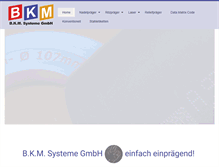 Tablet Screenshot of bkm-systeme.de